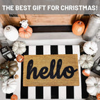 IOHOUZE Black White Striped Rug -27.5" X 43" Front Door Mats Outdoor,Washable Rug for Front Porch Decor,Spring Summer Welcome Mats Outdoor Indoor, Doormat for Farmhouse/Entryway/Home Entrance