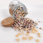 PPCLION 60pcs Tiny Starfish 1800 Pcs Tiny Mini Small Sea Shells for Crafting Spiral Conch Shells for Crafts Charms for Home Decorations Candle Decor DIY Fish Tank and Beach Vase Filler