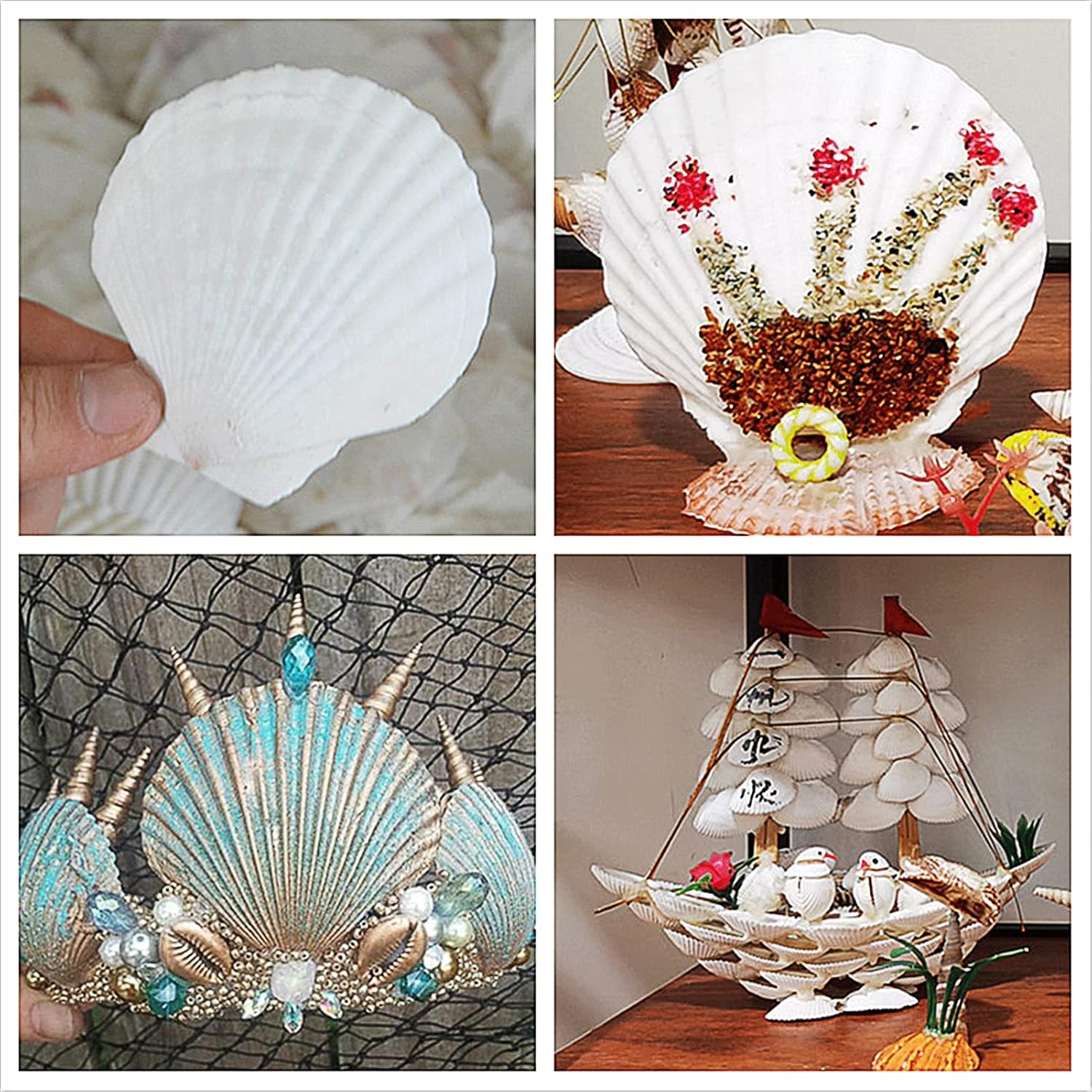 QICQDRAM 30PCS Sea Shells for Crafts Decoration 2''-3'' White Scallop Shells for Crafts DIY Painting Beaching Wedding Decoration, Beach Natural White Seashells Bulk