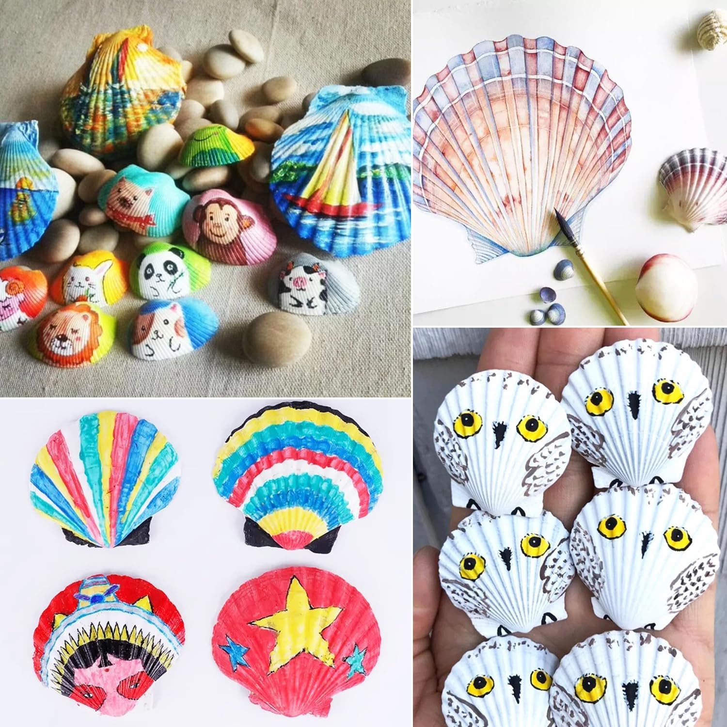 Jangostor 48 PCS Scallop Shells Natural Seashell, 1.5" to 2" White Scallop Shells Small Seashells for Crafts Wedding Decor Beach Theme Party, Fish Tank and Vase Filler