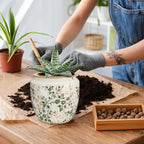 LemonRoad 7 Inch Large Vintage Ceramic Planter with Drainage Holes Ice Crackle Flower Vase Flower Pot with Rustic Greenery Pattern for Indoor Outdoor Plants Garden Home Kitchen Office Shelf Decor