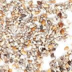 2000 Pcs Tiny Sea Shells for Crafting,Mixed Ocean Beach Mini Seashells Bulk for Home Decorations,Beach Theme Party, Small Shells for Craft, Wedding Decor, Fish Tank Vase Filler(5-12 mm)
