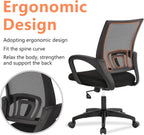 PayLessHere Home Office Chair Desk Computer Chair Adjustable Ergonomic Lumbar Support Armrest Executive with High Density Mesh 360 Degree Swivel Chair for Men Women Adults, Black