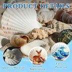 10pcs Sea Shells 4''-4.5'' Large Natural Scallop Shells Pink & Yellow Hawaiian Scallop Shells for Crafts, Seashell Beach Decorations for Home Decor, Beaching Wedding Decoration