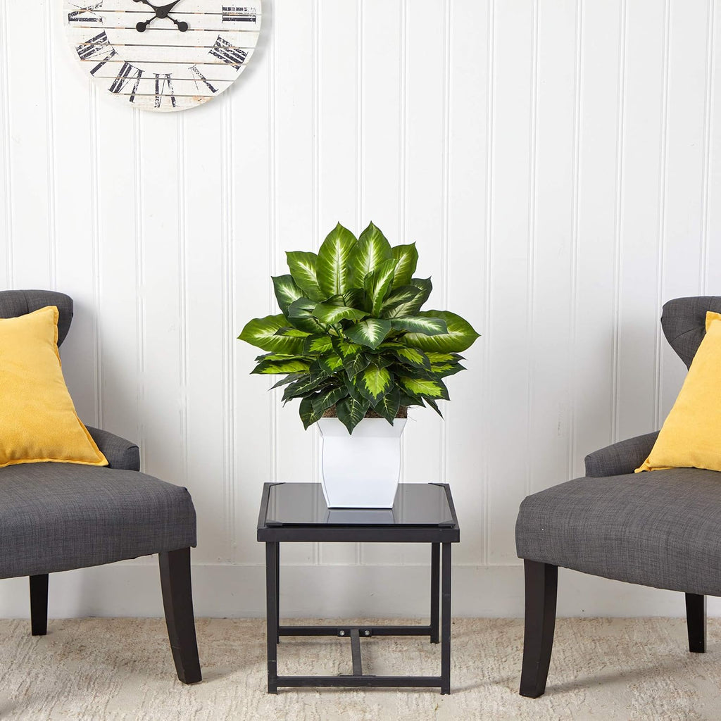 Nearly Natural 2ft. Golden Dieffenbachia Artificial Plant in White Metal Planter