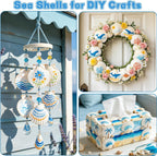 20PCS Natural White Scallop Shells 3-4 Inch for Crafts, DIY Painting, Beach Sea Home Decor, Large Seashells Bulk for Ocean Themed Party Decoupage Decoration