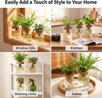 6Pcs 3 Size Glass Plant Propagation Stations, Desktop Flower Vases | Hydroponic Glass Container Vase (2 Large & 2 Medium & 2 Small) for Plant Cuttings, Desks, Living Room, Bedroom, Office Decor