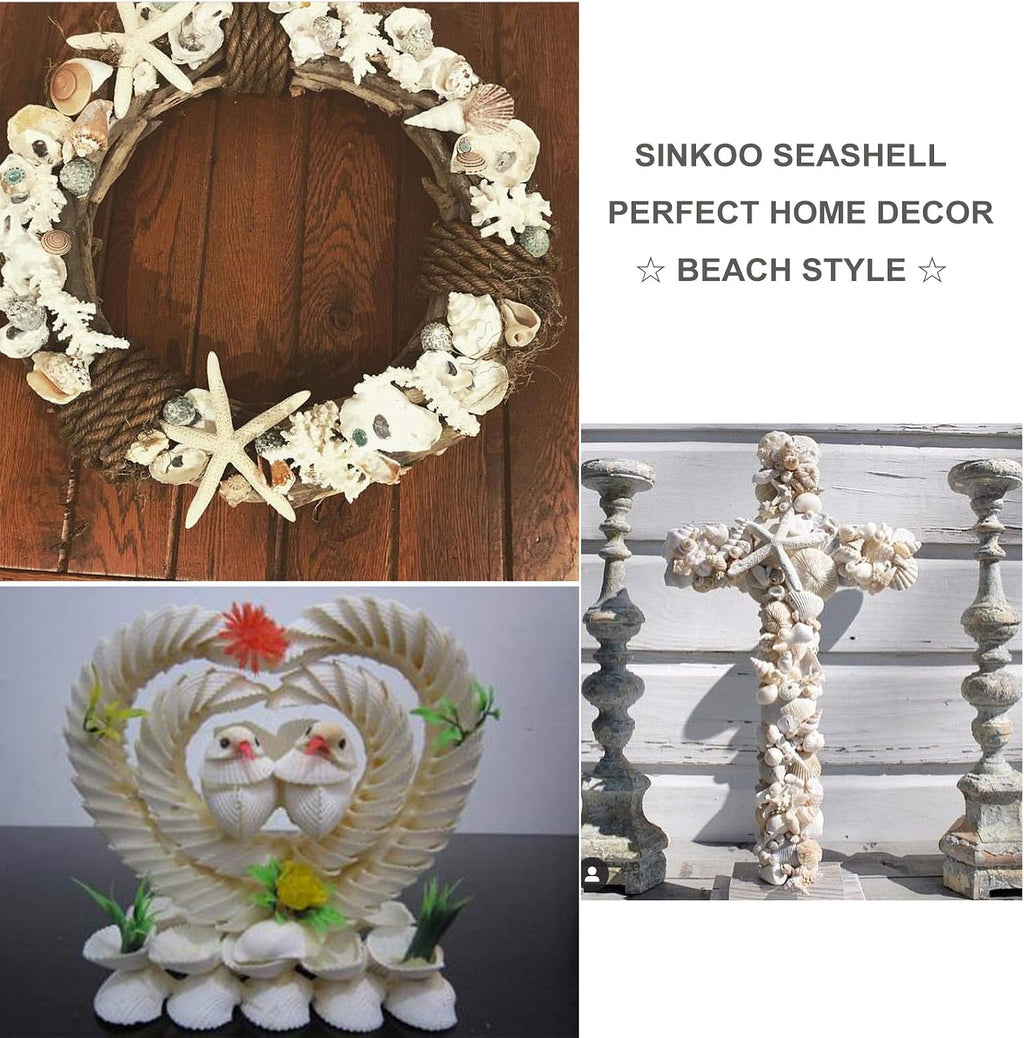 SINKOO Bulk Natural White Small Seashell Clam Super Shells Assortment for DIY Craft Beach Decor