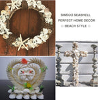 SINKOO Bulk Natural White Small Seashell Clam Super Shells Assortment for DIY Craft Beach Decor