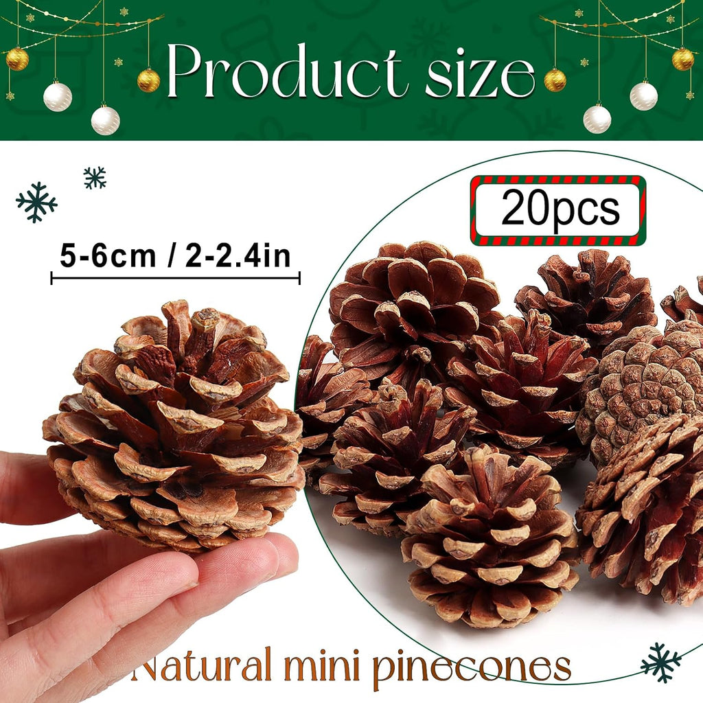 SBYURE 20 Pack 2.4 Inch Pinecones Bulk Package of Natural Pinecones Pine Cones for Crafts Home Decor Vase Filler