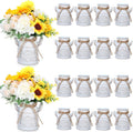 Roshtia 16 Pcs 6 Inch Metal Milk Can Jug Bulk Vintage Galvanized Milk Vase Rustic Farmhouse Flower Bucket French Shabby Chic Decor with Handle for Home Wedding Table Centerpiece (Retro White)