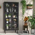 INTERGREAT Glass Display Cabinet, Metal Curio Cabinet with Tempered Glass Doors & Adjustable Shelves, Metal Storage Cabinets for Living Room, School, Plant, Black, Assembly Required