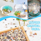 1200 PCS Tiny Seashells & 21 Starfish Mixed 18 Kinds Bulk Beach Small Shells for Home Decor, Beach Theme Party Decor, Fish Tank Aquarium, Sea Shells for Crafting Vase Filler, Beach Candle