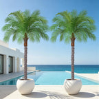 6ft Artificial Phoenix Palm Tree, Faux Coconut Silk Tropical Fake Palm Plant for Indoor Outdoor Home Office Patio Bathroom Pool Coastal Decor(Set of 2)