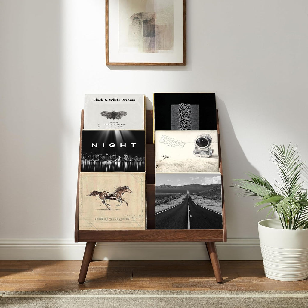 Crosley Furniture Liam Medium Mid-Century Modern Vinyl Record Storage Stand, Media Console for Records, Walnut