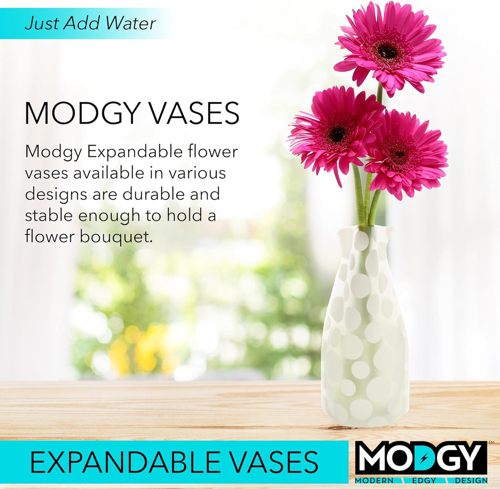 Modgy Polkie Collapsible Vase, 1 EA