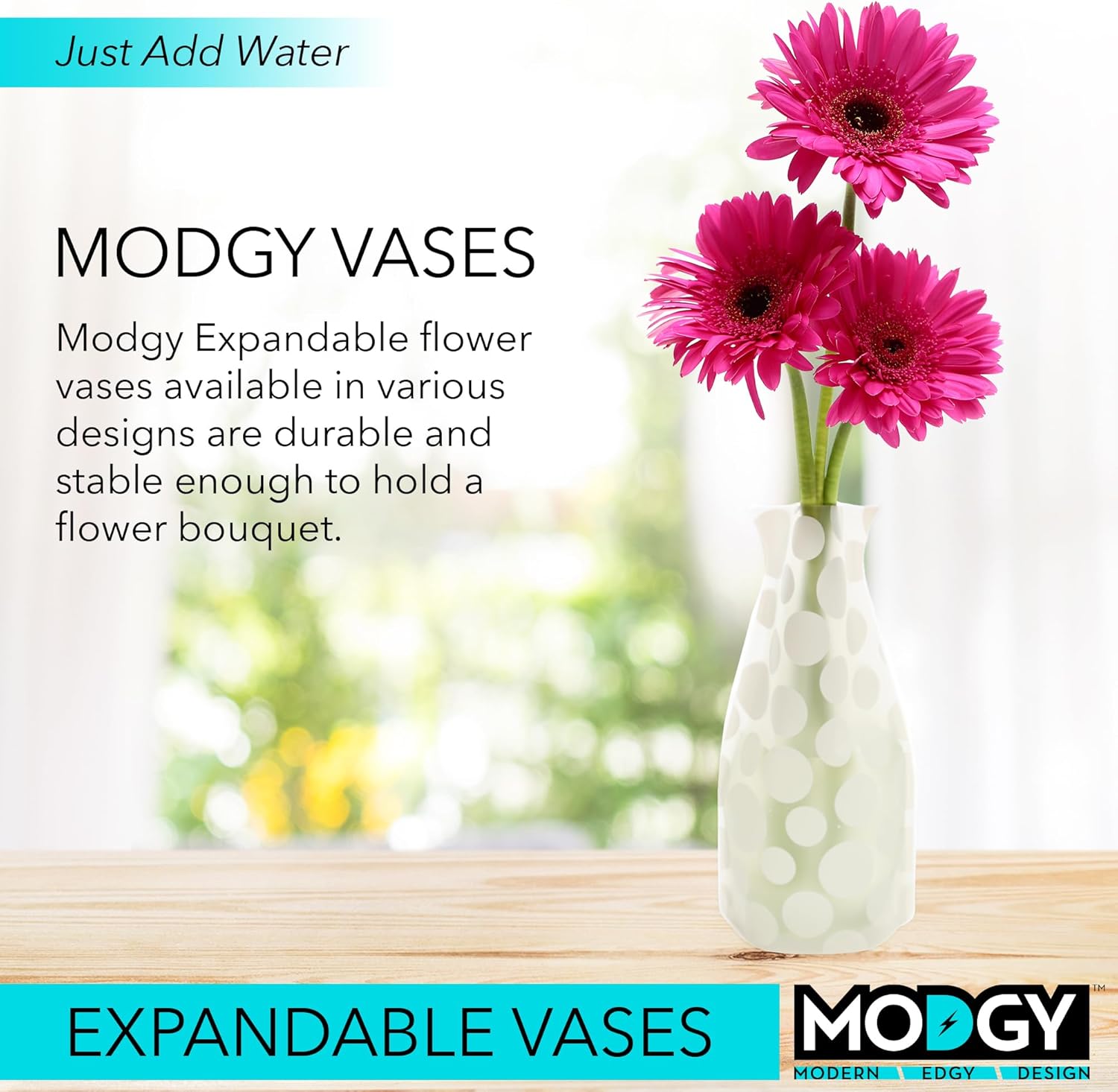 Modgy Polkie Collapsible Vase, 1 EA