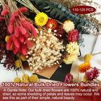 DIY Dried Flower Bouquet Kit, Large Mixed Flowers Assortment - Eucalyptus, Babys Breath, Craspedia, Bunny Tails, Bulk Natural Florals for Wedding Centerpieces, Boho Home Decor, Craft Projects