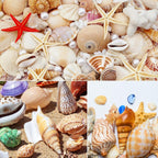 24 PCS Large Sea Shells Mixed Ocean Seashells Starfish Conch Various Sizes Natural Seashells for Fish Tank Beach Themed Party Home Bathroom Wedding Decorations DIY Crafts