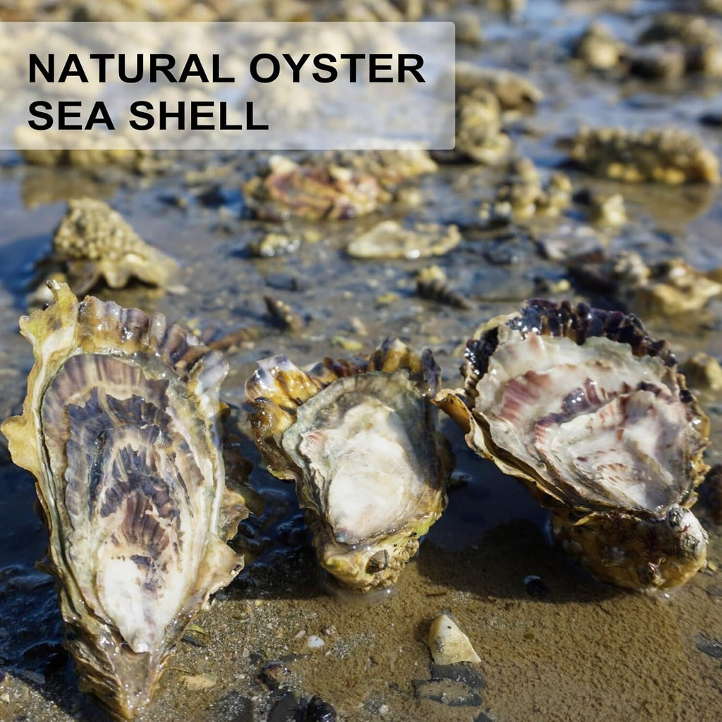 QEQEKAKA 30PCS Oyster Shells Flat & Concave 4"-5" Large Oyster Shells for Crafts Natural Oyster Shells Bulk, for Home Vase Filler, Xmas Ornaments, DIY Arts and Crafts Sea Shells
