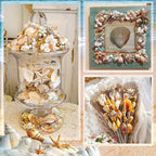 Sea Shell Mixed Ocean Shells Set, 15 Kinds 1.2"-2.7" Various Sizes Natural Seashell & Starfish for Beach Themed Decor, DIY Crafts, Vase Fillers, Fish Tank, Home, Wedding and Party Decoration