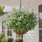 Ivydale Artificial Plants Outdoor 5 Pcs, Faux Greenery Plants Outdoor UV Resistant Silk Plants with Stems, Fake Plants for Outside Planter Front Porch Patio Pathway Decoration(Green)