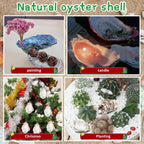 30PCS Oyster Shells for Crafts,Lncluding 25PCS Concave & 5PCS Flat,3"-4" Natural Medium Oyster Shells Bulk,for Home Vase Filler, Xmas Ornaments, DIY Arts and Crafts Sea Shells,Gift 50 Stickers
