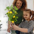 Artificial Lemons Branches 3pcs 27.5inch Lemon Stems for Vases Realistic Fruit Bouquet Faux Lemon Tree Branch Fake Lemons for Kitchen Home Wedding Party Spring Summer Decorations DIY Floral Crafts