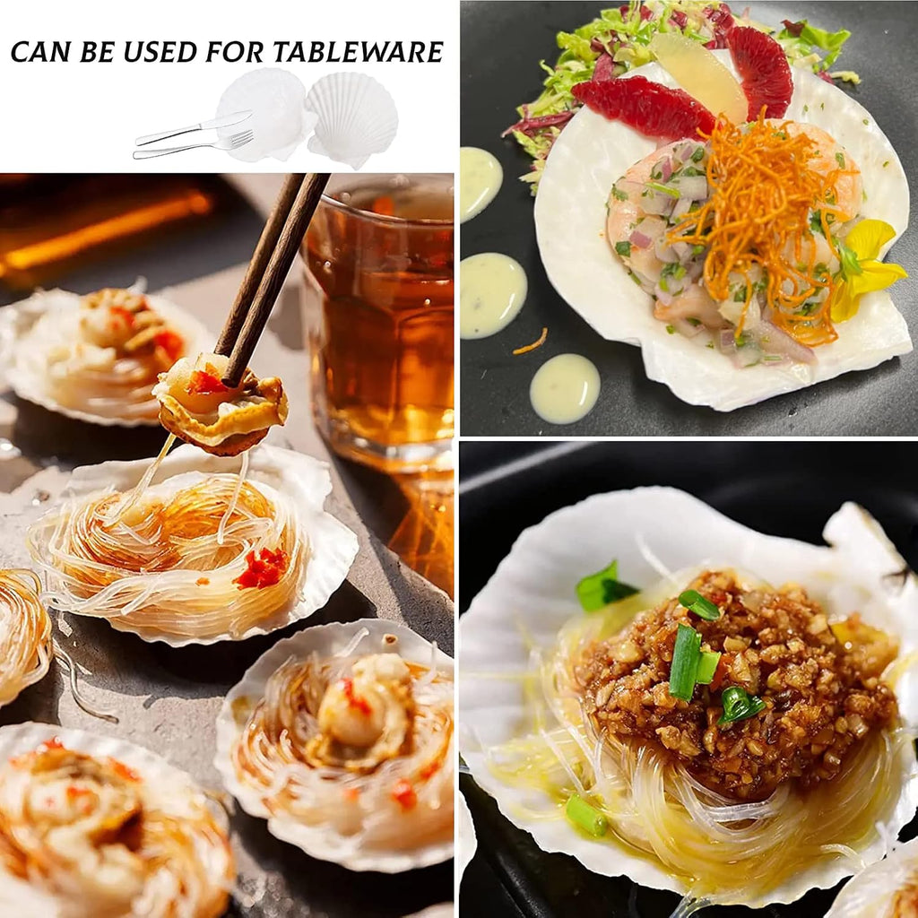 LUCKY BABY 4"-5" Scallop Shells for Crafts, 10 PCS Large Seashells for Decorating, White Natural Shells for Decoration