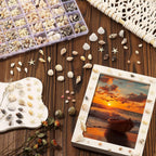 Zefy 23 Types Small Sea Shells for Crafts, 1200 Pcs Tiny Seashells with Mixed Size Starfish, Mini Shells for Vase Filler Beach Theme Party Home Decor