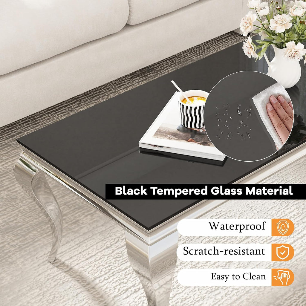 22.8 Inch Glass End Table, Modern Small Square Side Table with Black Tempered Glass Top and Silver Stainless Steel Legs, for Living Room, Bedroom, Apartment