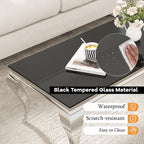 22.8 Inch Glass End Table, Modern Small Square Side Table with Black Tempered Glass Top and Silver Stainless Steel Legs, for Living Room, Bedroom, Apartment