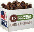 Tumbler Home Pine Cones for Decorating, 15pcs Loblolly Pinecones 2" - 3" Inch Each, Natural Pine Cones for Crafts, Pinecone Ornaments, Christmas Tree & Rustic Home Décor