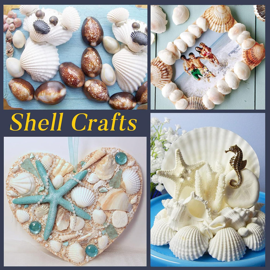 LUCKY BABY 140-160Pcs Small Seashells for Crafts 0.5"-1.25", Natural White Bulk Mini Sea Shells for DIY Painting, Vase Filler, Beach Wedding Decor, Candle Making, Home Decoration, 330g