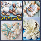 LUCKY BABY 140-160Pcs Small Seashells for Crafts 0.5"-1.25", Natural White Bulk Mini Sea Shells for DIY Painting, Vase Filler, Beach Wedding Decor, Candle Making, Home Decoration, 330g