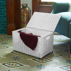Household Essentials Arctic White Woven Paper Rope Chest with Iron Accents