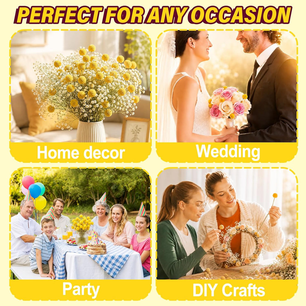 40PCS Natural Dried Flowers Craspedia Billy Balls Flowers, Billy Buttons Floral Bouquet Bundles, Yellow Real Dry Plant for Flower Arrangements Wedding Home Tall Vase Decor