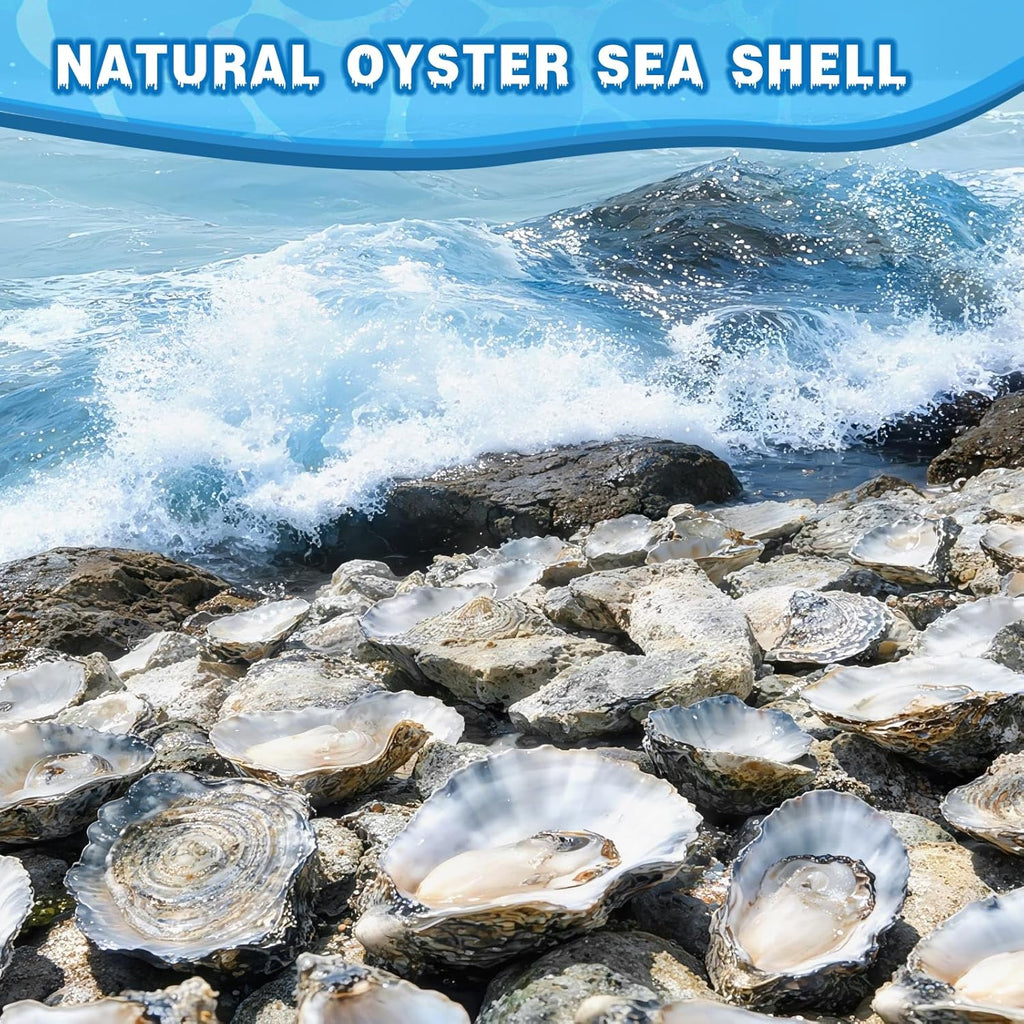 30Pcs 4"-5" Concave Oyster Shells for Crafts Natural Large Oyster Shells for DIY Crafting Christmas Ornaments Decoupage Beach Decor Arts and Bulk Clam Shells Sea Shells for Crafts