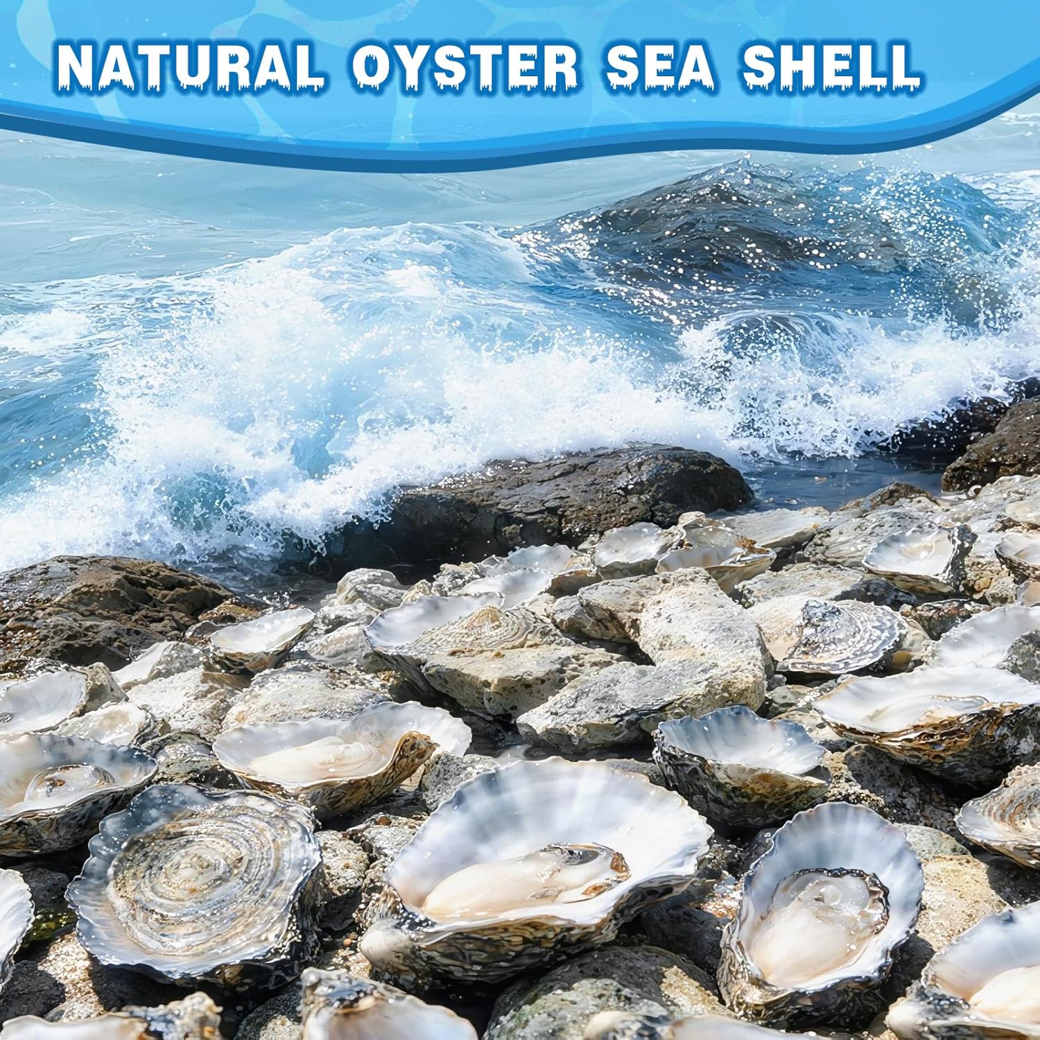 30Pcs 4"-5" Concave Oyster Shells for Crafts Natural Large Oyster Shells for DIY Crafting Christmas Ornaments Decoupage Beach Decor Arts and Bulk Clam Shells Sea Shells for Crafts