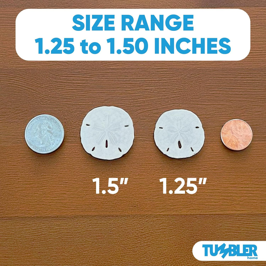 Tumbler Home Real Sand Dollars 1.25" - 1.5" Inch (30 Pack), Natural White Sand Dollars for Crafts, Bulk Florida Sanddollar Shells for DIY Crafts, Beach Wedding Décor, Nautical and Coastal Room Decor
