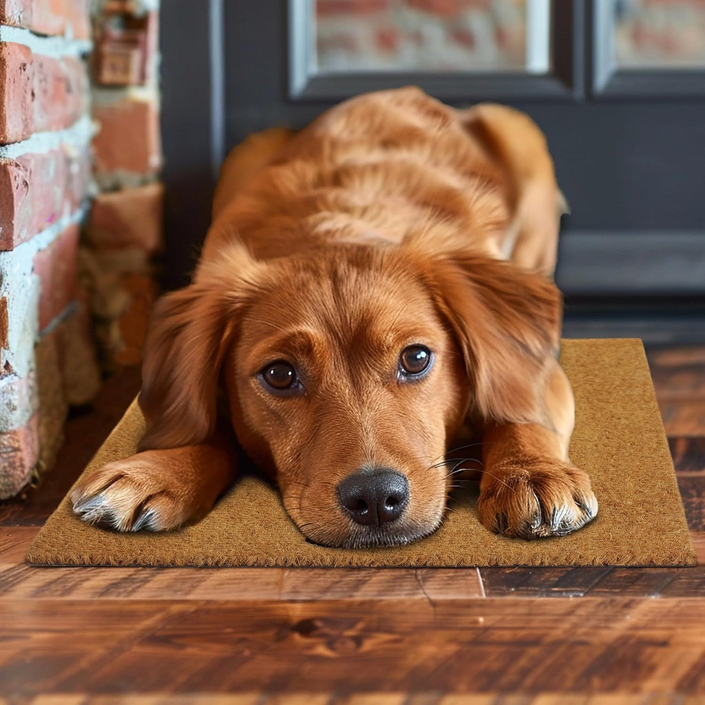 Croft&Cane Welcome Doormat – Non Slip Coco Coir Door Mat - Good Vibes Evil Eye Dirt Trapping Entryway Mat - Low Profile Indoor Outdoor Front Door Mat for Patio, Porch & High Traffic Areas - 17 x 30
