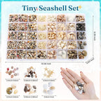 Zefy 23 Types Small Sea Shells for Crafts, 1200 Pcs Tiny Seashells with Mixed Size Starfish, Mini Shells for Vase Filler Beach Theme Party Home Decor