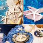 Jangostor 12 PCS Starfish 4-5 Inch Ocean Beach Starfish Natural Colorful Seashells Starfish Perfect for Wedding Decor Beach Theme Party, Home Decorations,DIY Crafts, Fish Tank