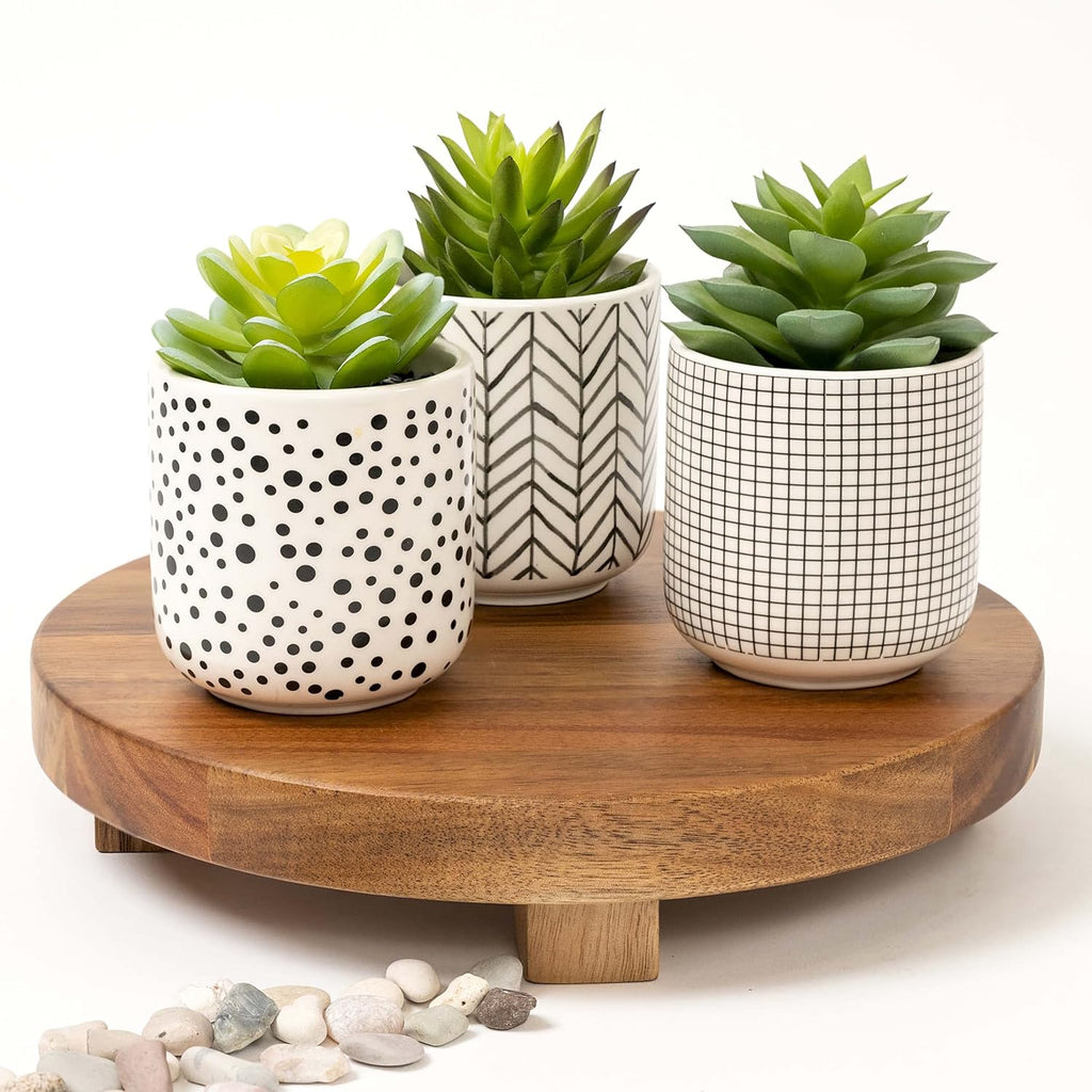 Kurrajong Farmhouse Artificial Succulents in pots | Set of 3 Black and White pots with Faux Succulents | Faux Plants Indoor | Fake Plants for Desk Decor | 4.75" high