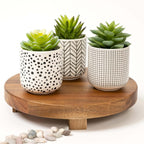Kurrajong Farmhouse Artificial Succulents in pots | Set of 3 Black and White pots with Faux Succulents | Faux Plants Indoor | Fake Plants for Desk Decor | 4.75" high