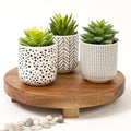 Kurrajong Farmhouse bundle....Set of 3 faux succulents in pots, with a 9" wide riser pedestal stand. One of our most popular paired items