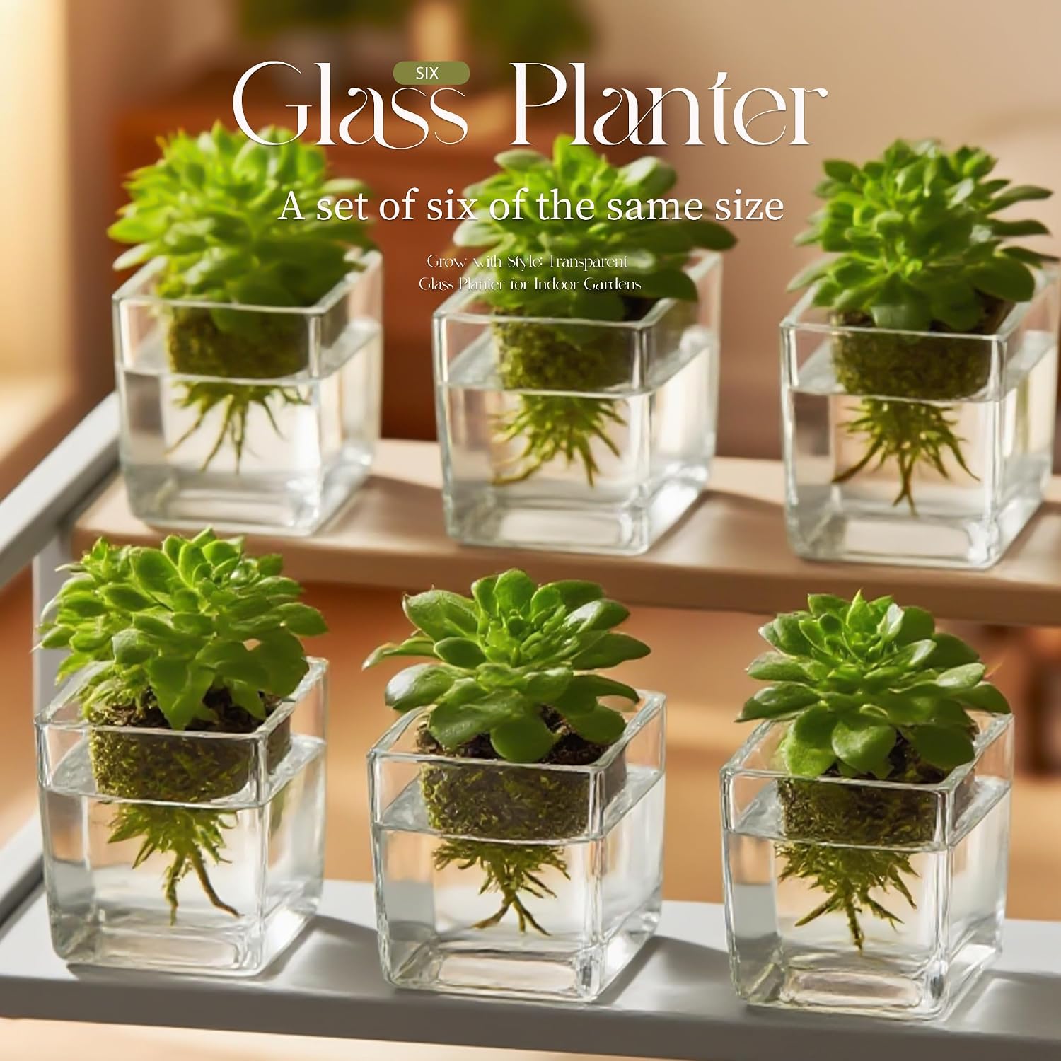 Set of 6 Square Glass Vases for Centerpieces – 5in x 5in x 5in Clear Short Flower Vase, Plant Terrariums, or Candle Holders for Wedding Centerpieces, Office Decor, Home Décor, Parties