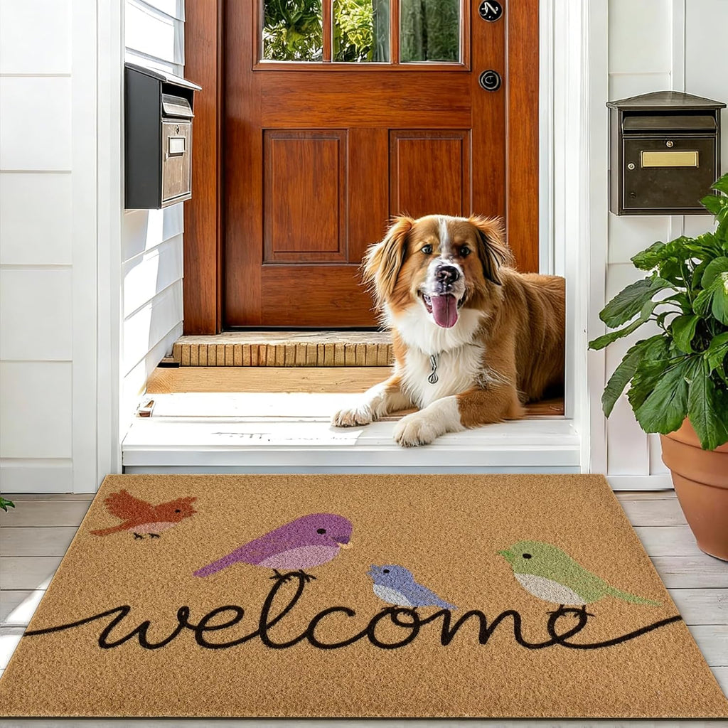 Yinhua Colorful Birds Coir Door Mat, Heavy Duty Welcome Mat with Non-Slip Rubber Backing, Low Pile Front Door Mats for Outside Entrance, Natural Entry Mats Coconut Fiber Surface for Porch 17"x30"