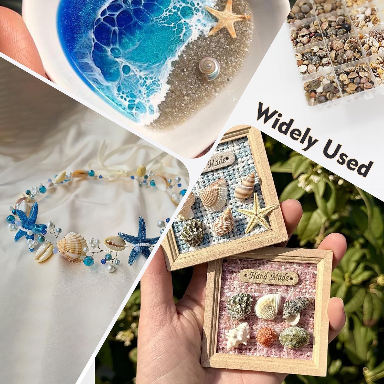 Small Sea Shells 1200Pcs Tiny Seashells Mixed Size Ocean Beach Starfish, Conch Shell for Crafts Vase Filler Fish Tank Beach Theme Party Home Wedding Decor