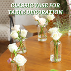 Glass Bud Vases Set of 24, Clear Flower Vase for Centerpieces, Small Vases for Flowers, Decor Centerpiece for Bathroom, Decorative Vases for House Warming
